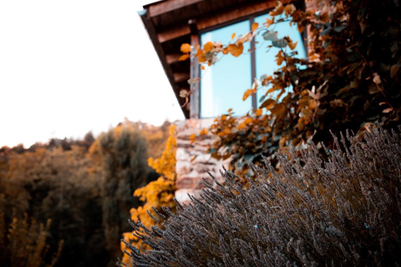 Maison D'Hotes Le Hameau De La Mure Saint-Laurent-du-Pape Esterno foto