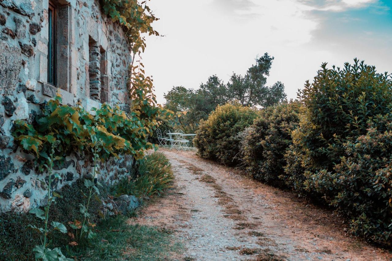 Maison D'Hotes Le Hameau De La Mure Saint-Laurent-du-Pape Esterno foto