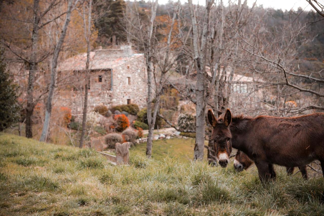 Maison D'Hotes Le Hameau De La Mure Saint-Laurent-du-Pape Esterno foto
