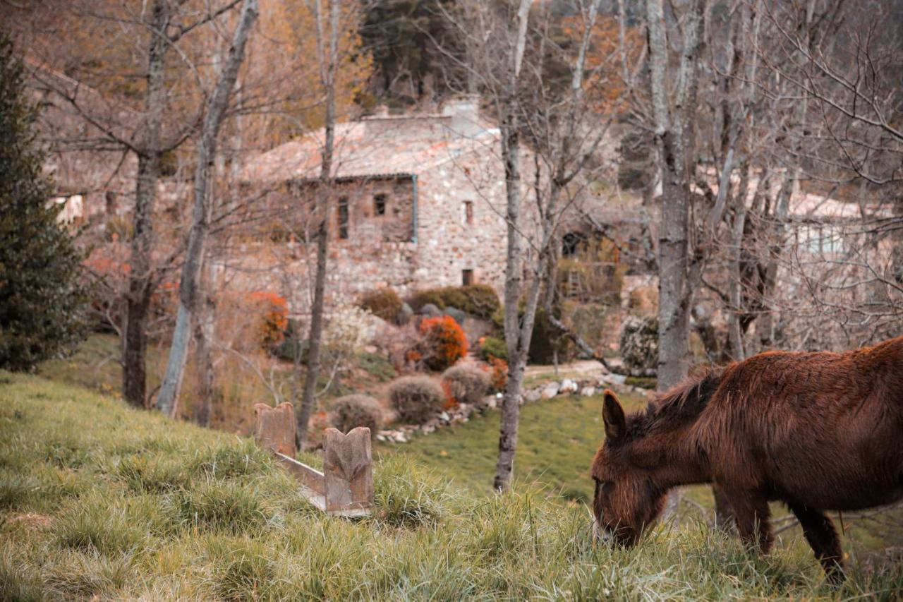 Maison D'Hotes Le Hameau De La Mure Saint-Laurent-du-Pape Esterno foto