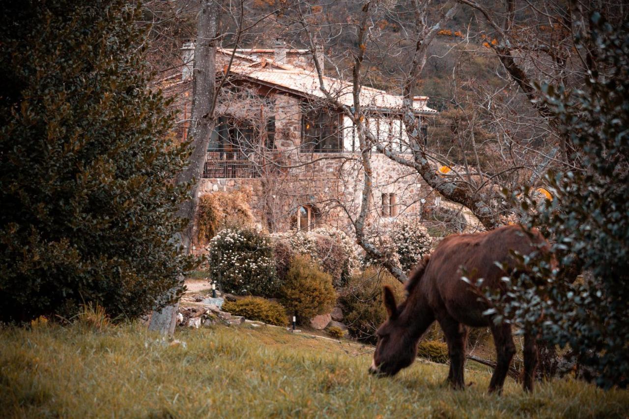 Maison D'Hotes Le Hameau De La Mure Saint-Laurent-du-Pape Esterno foto
