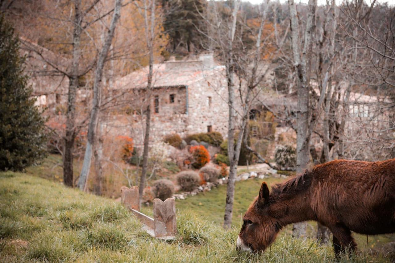 Maison D'Hotes Le Hameau De La Mure Saint-Laurent-du-Pape Esterno foto